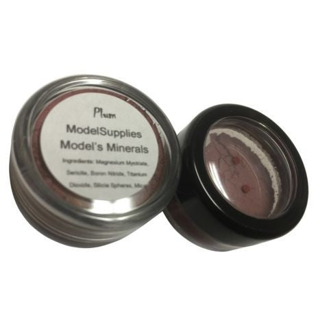 Modelsupplies Model's Minerals Plum Blush Rouge Makeup NIP - ModelSupplies