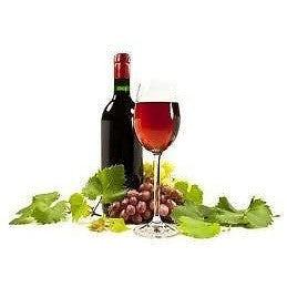 1 gm Resveratrol 98% Pure - Emodin Free - Polygonum cuspidatum Source - DIY - ModelSupplies