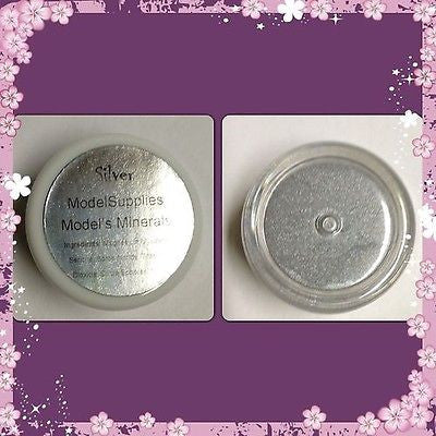 Modelsupplies Model's Minerals Silver Mineral Eye Shadow Makeup NIP - ModelSupplies