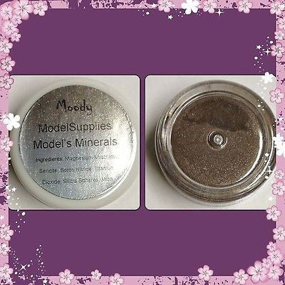 Modelsupplies Model's Minerals Moody Mineral Eye Shadow Makeup NIP - ModelSupplies