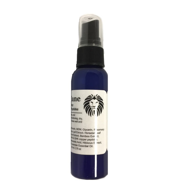 ModelSupplies Model's Mane Copper Keratin Hair Spray on Treatment Smooth Shiny - ModelSupplies