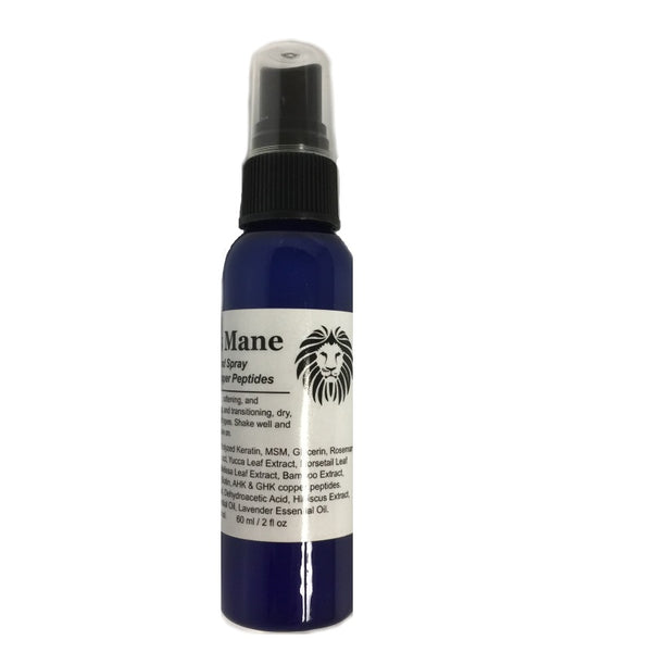 ModelSupplies Model's Mane Copper Keratin Hair Spray on Treatment Smooth Shiny - ModelSupplies