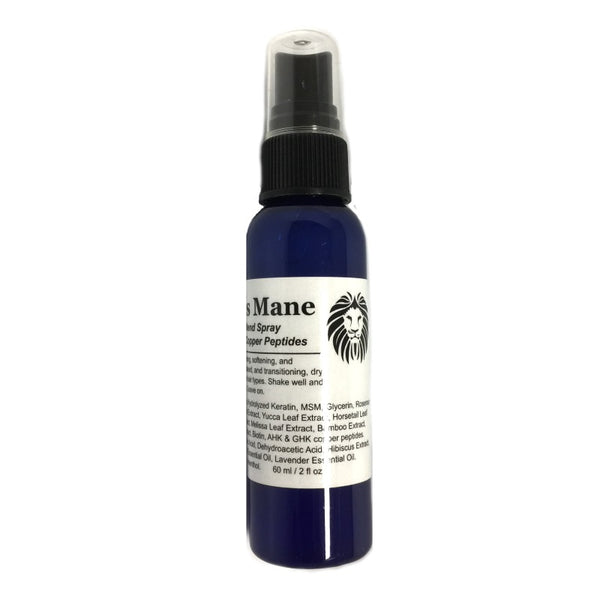 ModelSupplies Model's Mane Copper Keratin Hair Spray on Treatment Smooth Shiny - ModelSupplies