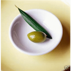Squalane Oil FitoDerm from Olive Source AntiAging 1 oz Light Oil - ModelSupplies