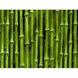 Bamboo Extract 100% Pure Ing Silica 1 oz Hair Care Treatment for Damaged Colored - ModelSupplies