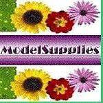 2 gm MAP Magnesium Ascorbyl Phosphate Stable Vitamin C DIY Collagen Synthesis - ModelSupplies
