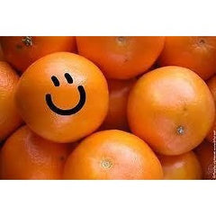 2 gm MAP Magnesium Ascorbyl Phosphate Stable Vitamin C DIY Collagen Synthesis - ModelSupplies
