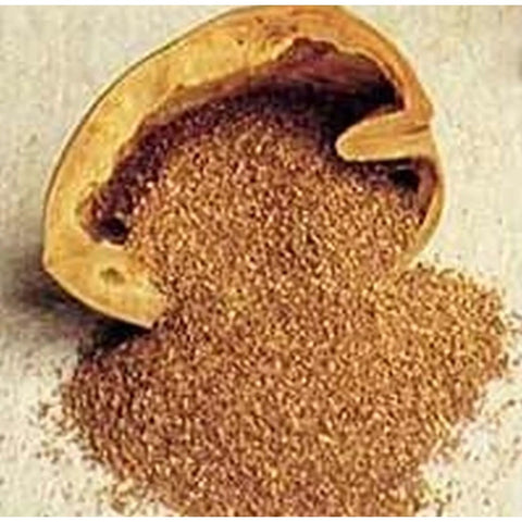 50 gm Walnut Shell Powder Exfoliate Scrub Abrasive NEW! - ModelSupplies